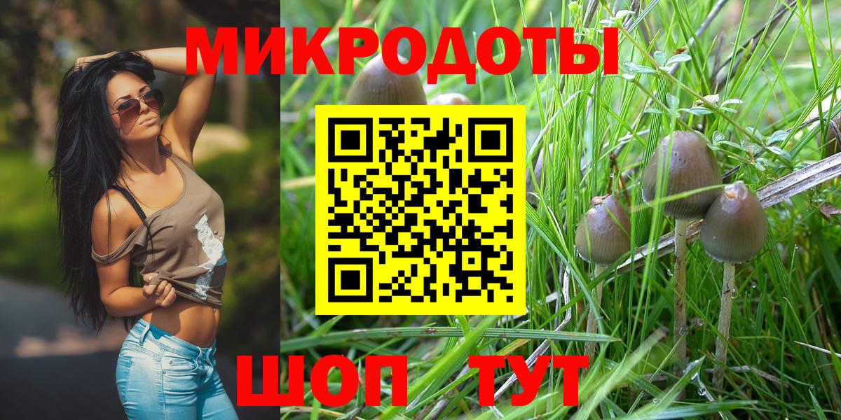 Луховицы  Псилоцибиновые грибы мухоморы  Вход с VPN 