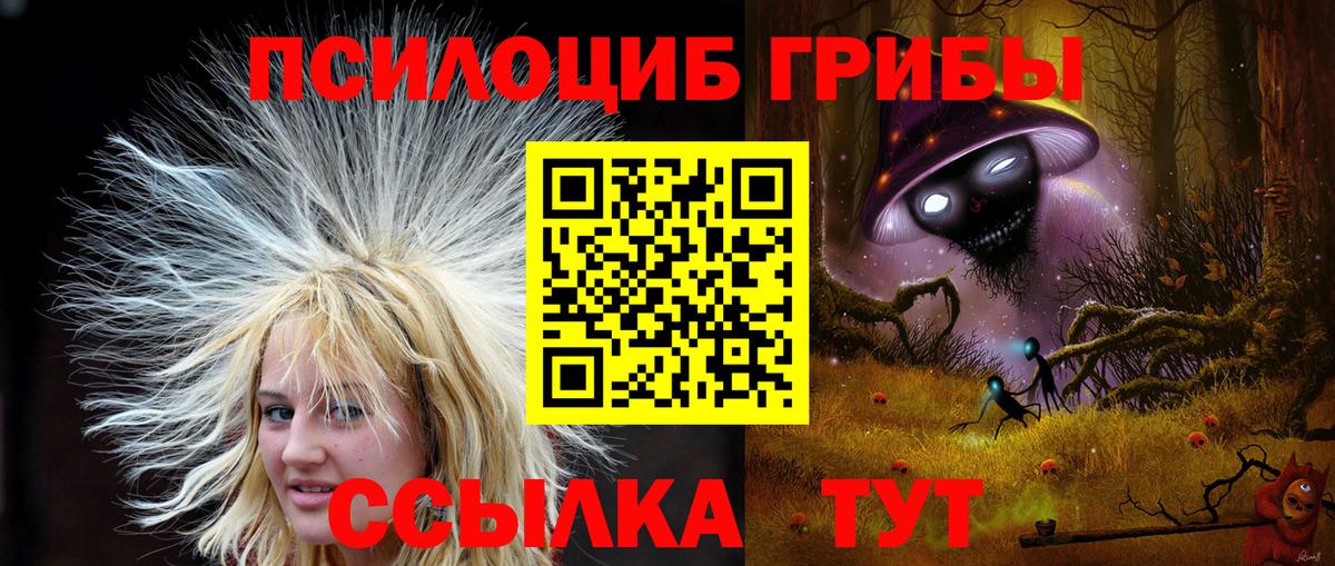 Псилоцибиновые грибы Psilocybe Луховицы